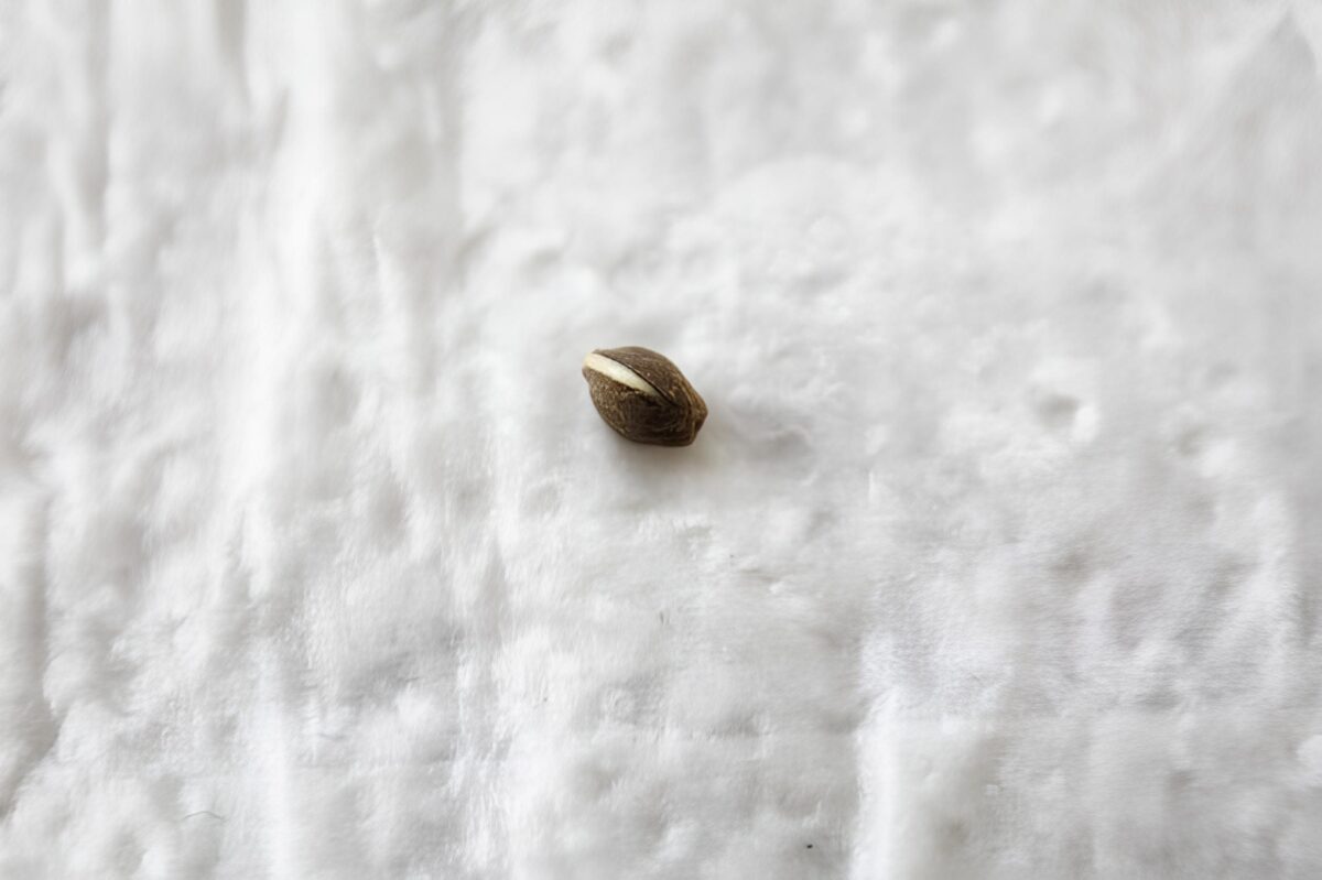 bbs-grow-diaries/week-343504-diary-343457-user-3-6751a81e7fb8e