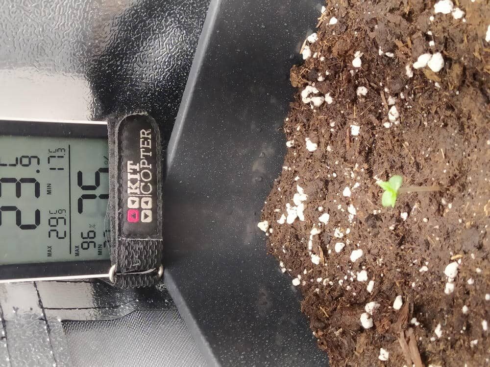 bbs-grow-diaries/week-343505-diary-343457-user-3-6751a99a0cf71