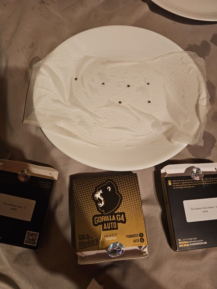 bbs-grow-diaries/week-347306-diary-347300-user-36132-676a2a9b61500