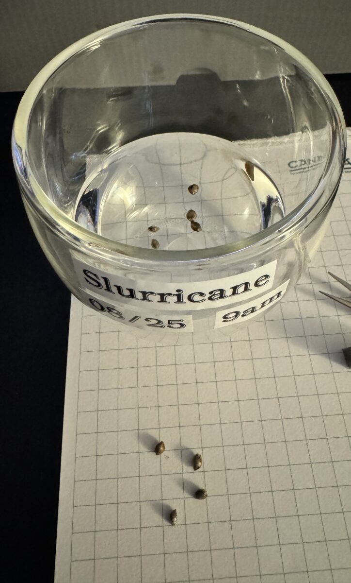 bbs-grow-diaries/week-349395-diary-349287-user-34805-6776d6c233358