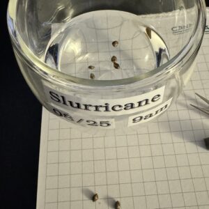 bbs-grow-diaries/week-349395-diary-349287-user-34805-6776d6c233358