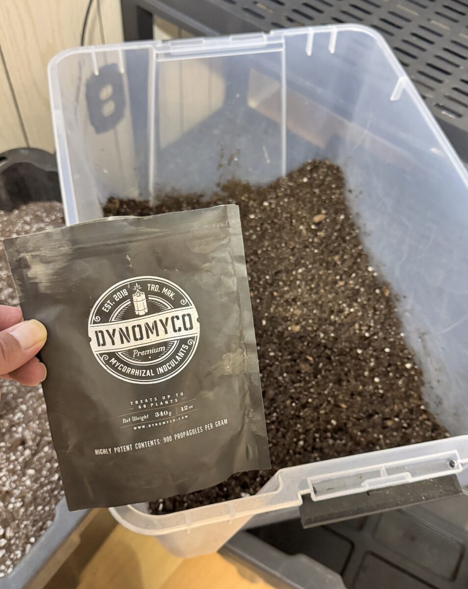 bbs-grow-diaries/week-349395-diary-349287-user-34805-6776d6c413dfb