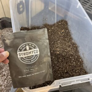 bbs-grow-diaries/week-349395-diary-349287-user-34805-6776d6c413dfb