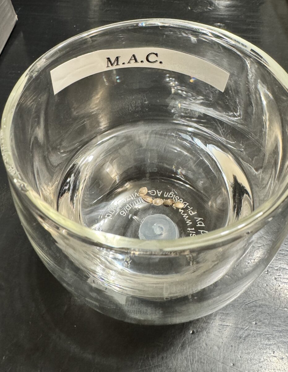 bbs-grow-diaries/week-349398-diary-349396-user-34805-6776d7a6512fc