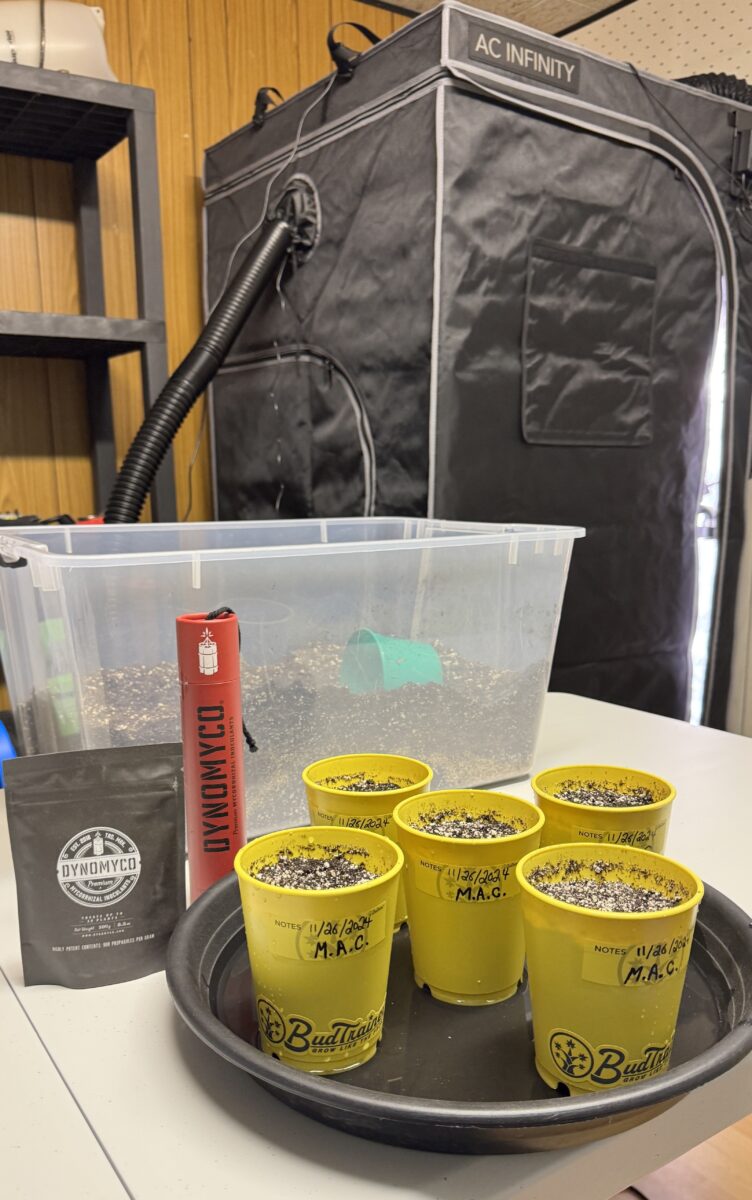 bbs-grow-diaries/week-349398-diary-349396-user-34805-6776d7a87eb81