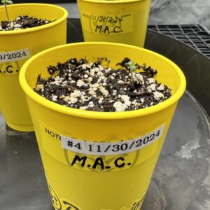 bbs-grow-diaries/week-349398-diary-349396-user-34805-6776d7b558796