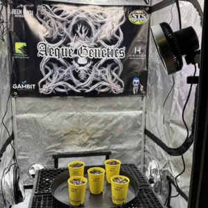 bbs-grow-diaries/week-349398-diary-349396-user-34805-6776d7b994e3b