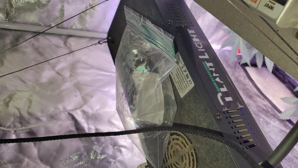 bbs-grow-diaries/week-350870-diary-350868-user-22406-677eba420157c