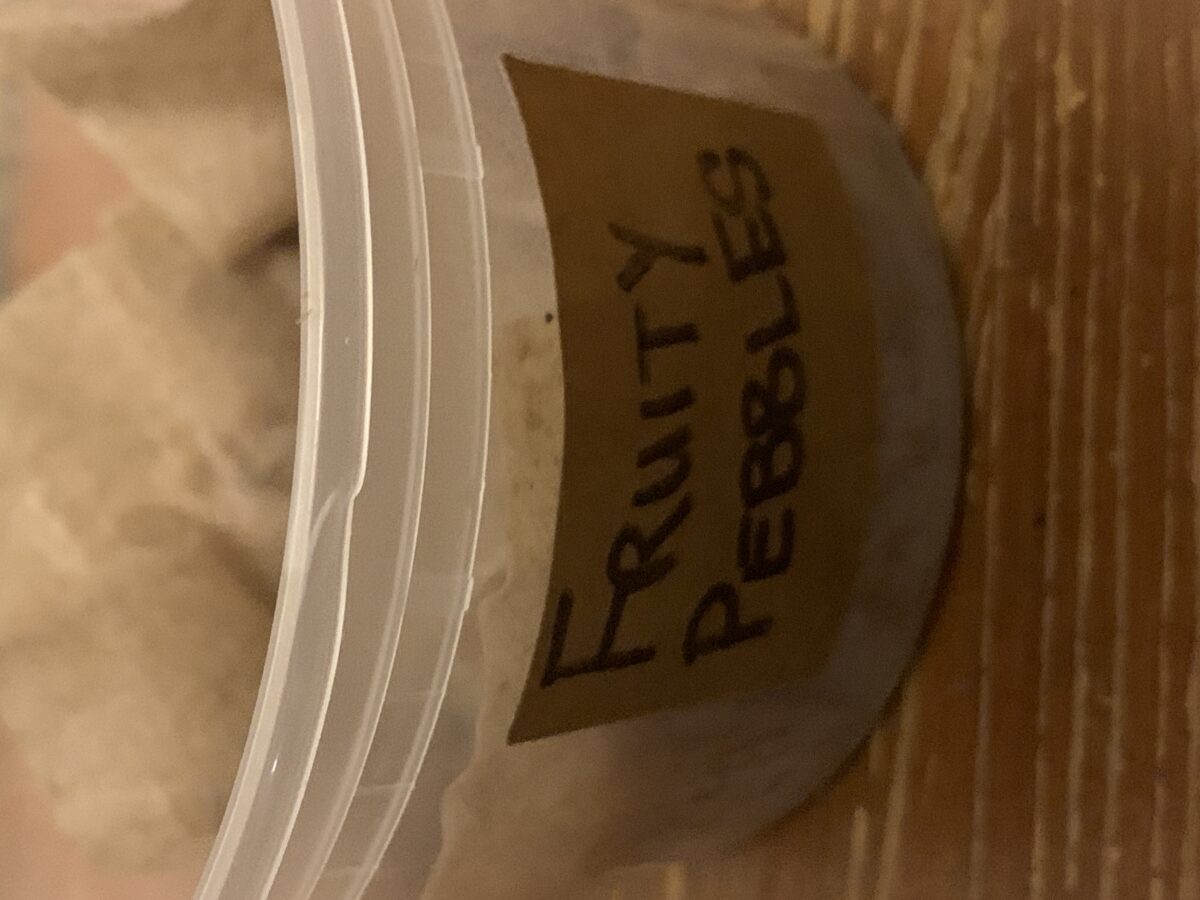 bbs-grow-diaries/week-379381-diary-379374-user-39614-67d90ed6b60fe