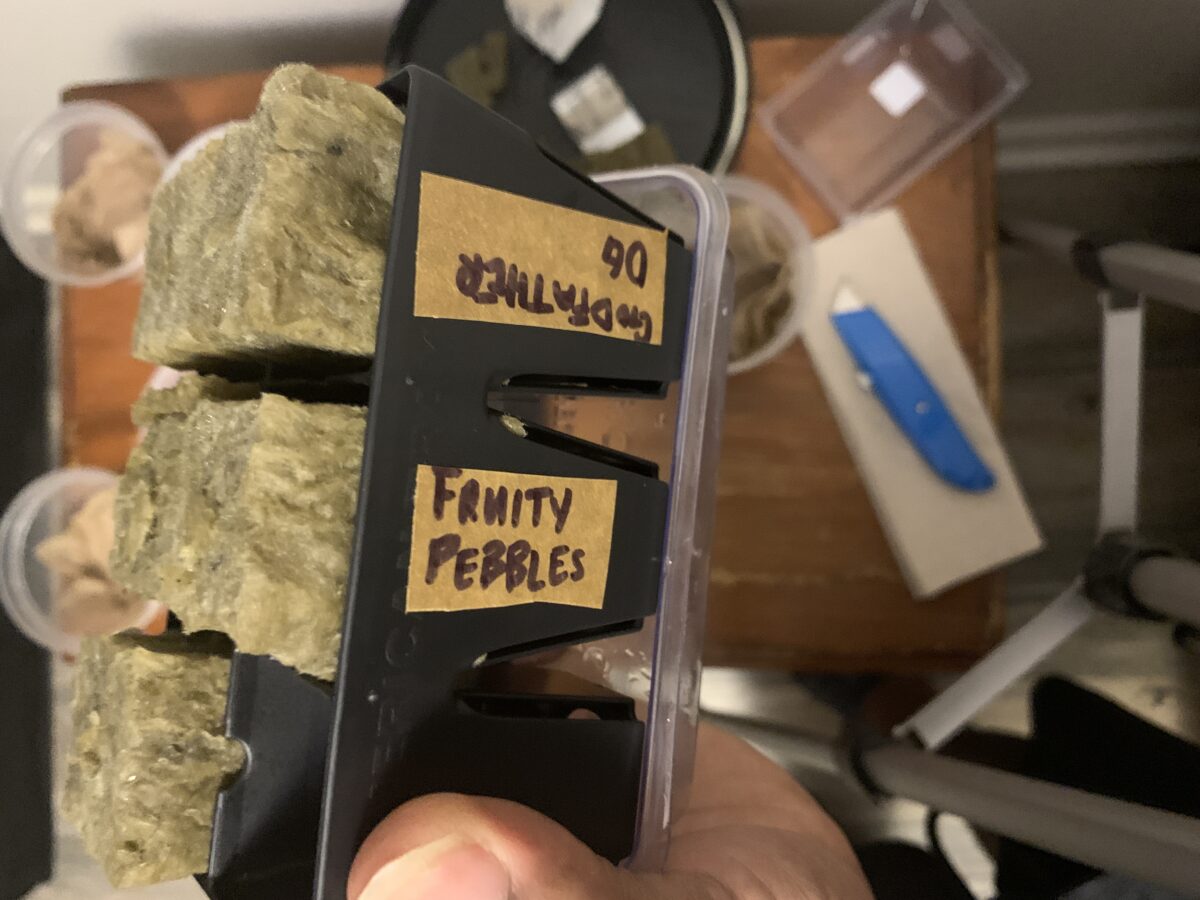 bbs-grow-diaries/week-379381-diary-379374-user-39614-67d93d5e340b7