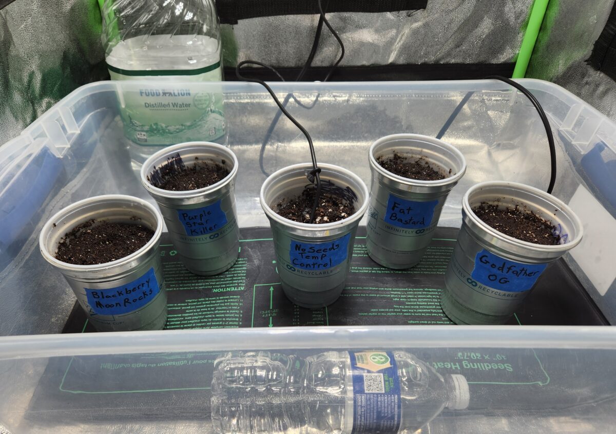 bbs-grow-diaries/week-380382-diary-380381-user-39676-67dd96ae823d0