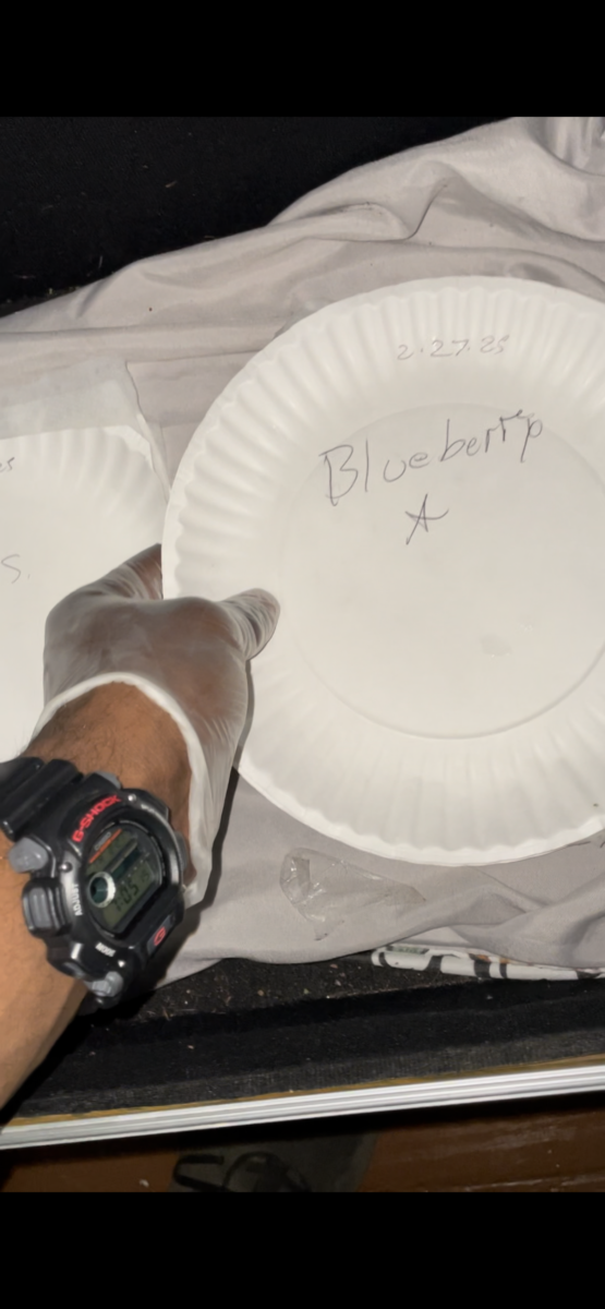 bbs-grow-diaries/week-384563-diary-384562-user-21252-67eae6c55603b