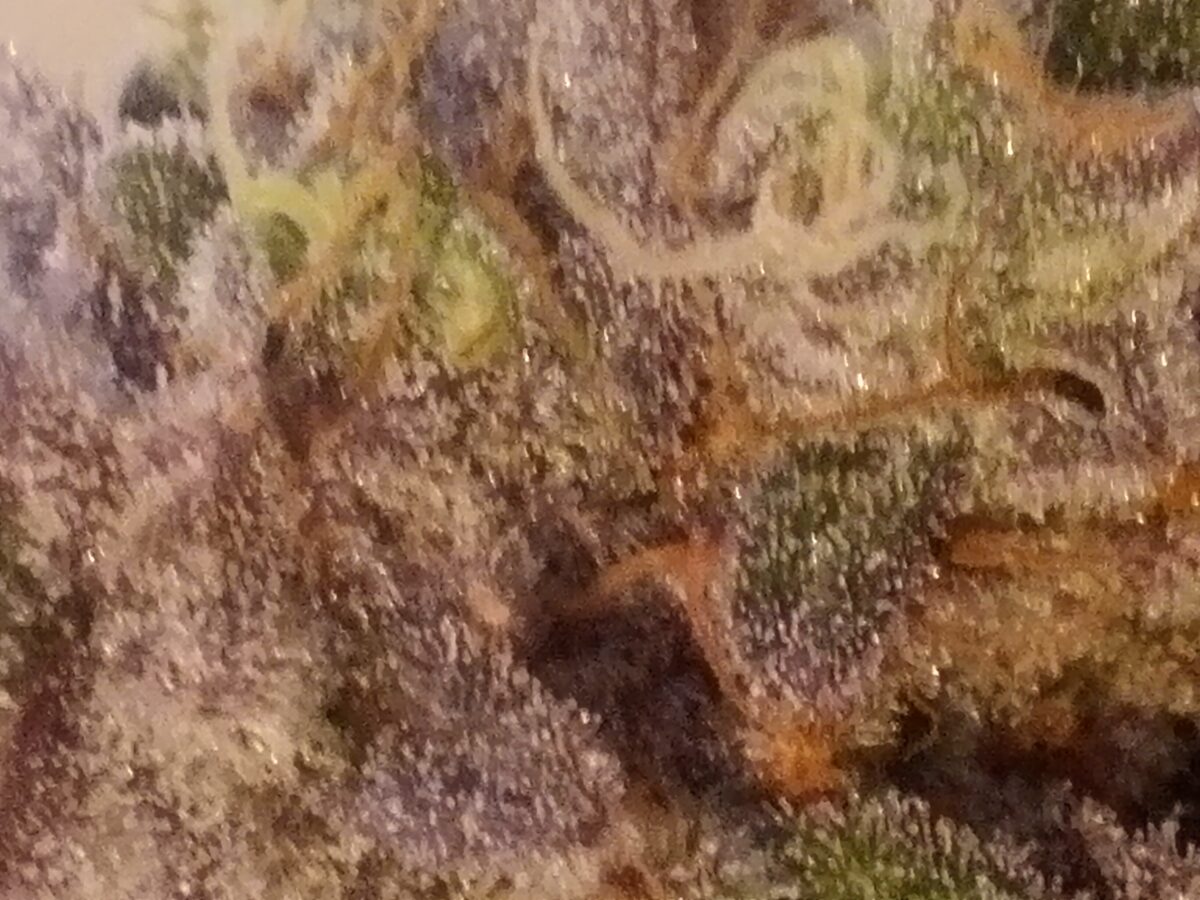 bbs-grow-diaries/week-389099-diary-386564-user-33257-67fe3fc54dbb8