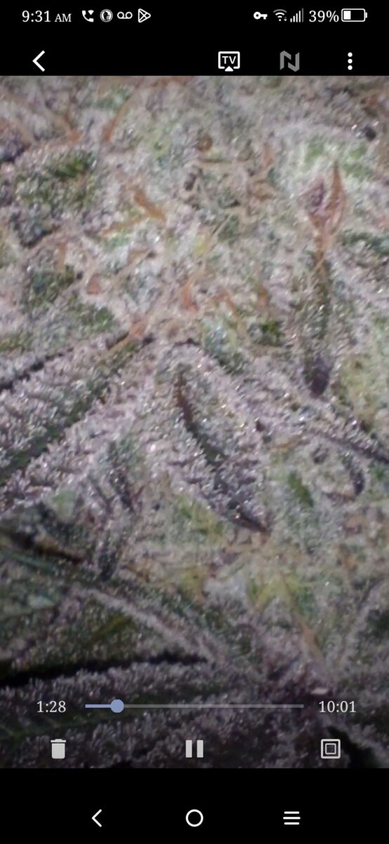 bbs-grow-diaries/week-389339-diary-386564-user-33257-67ff90374a311