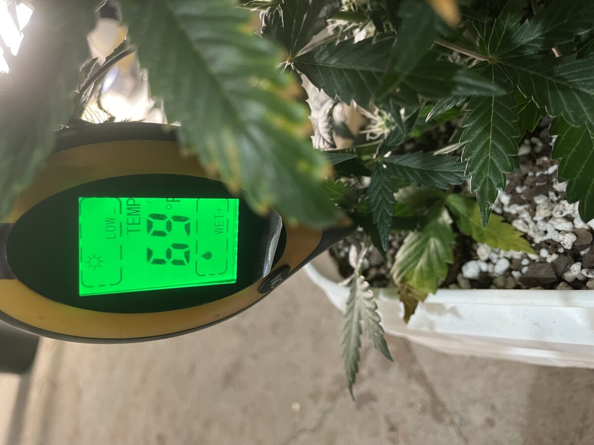 bbs-grow-diaries/week-389821-diary-384562-user-21252-6802eeef7c60b