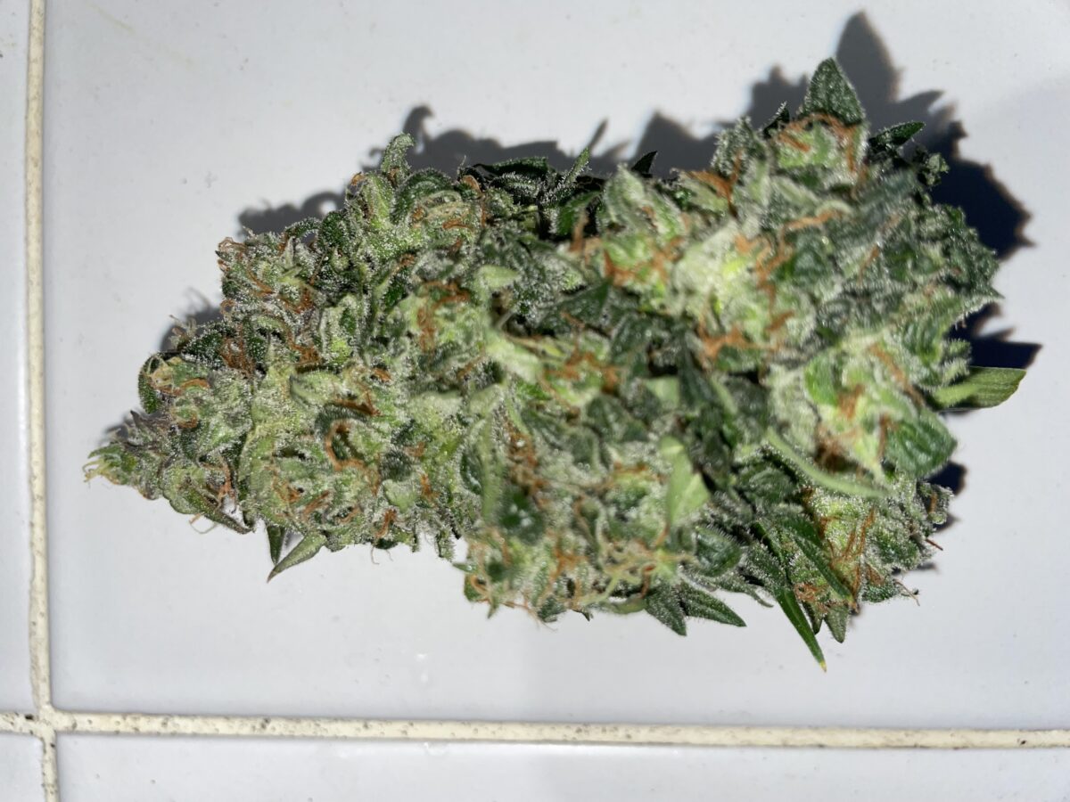 bbs-grow-diaries/week-394303-diary-384562-user-21252-6822bf4815471