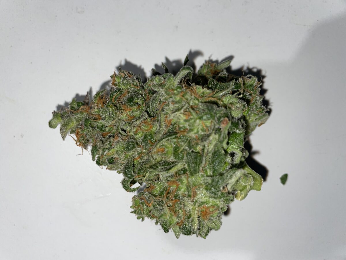 bbs-grow-diaries/week-394303-diary-384562-user-21252-6822bf52b4fa4