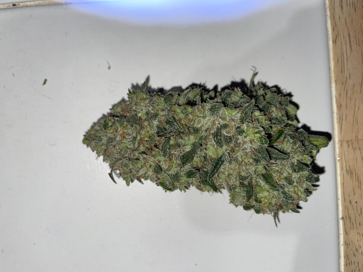 bbs-grow-diaries/week-394303-diary-384562-user-21252-6822bf61ab6c8