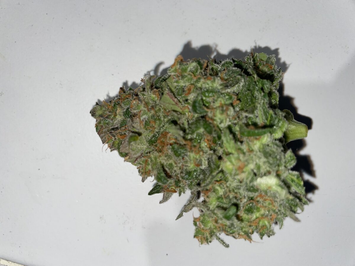 bbs-grow-diaries/week-394303-diary-384562-user-21252-6822bf63dc4aa