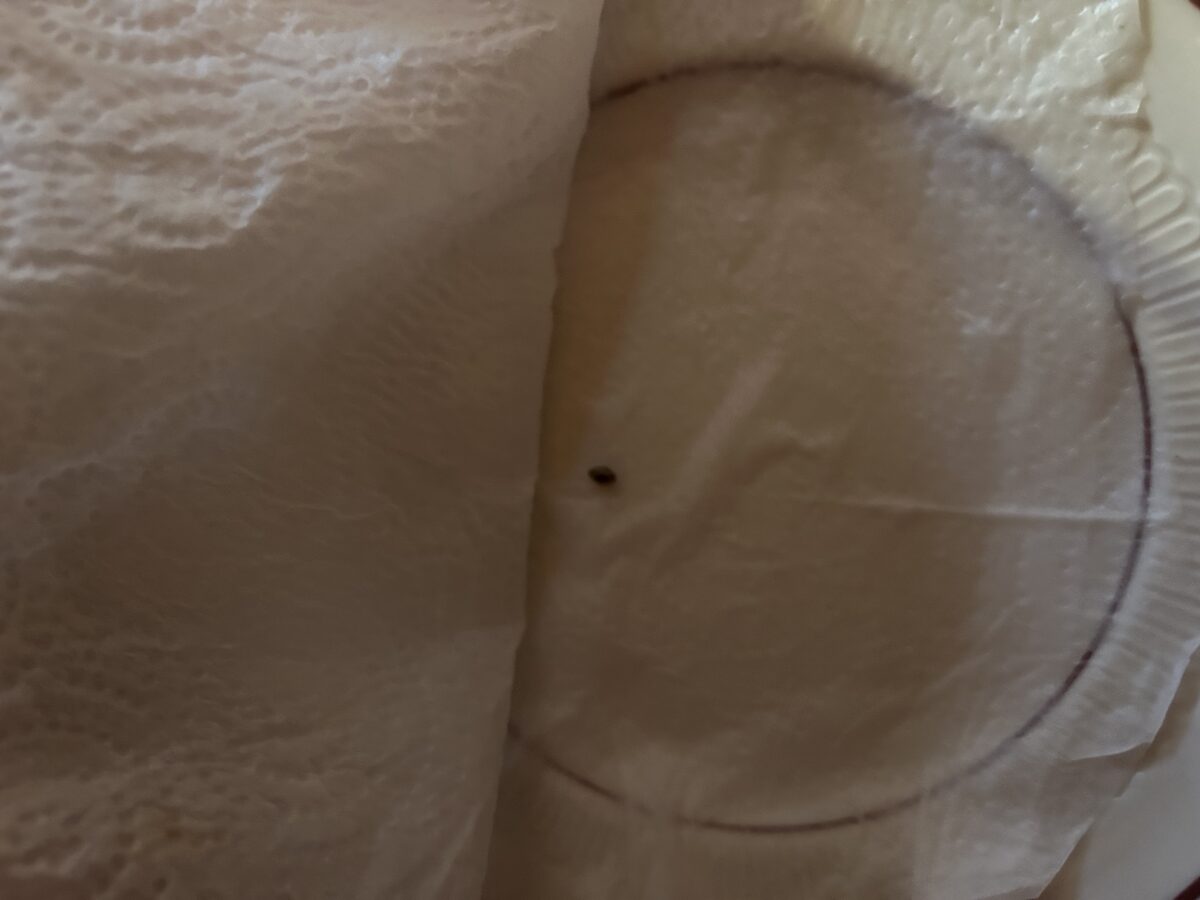 bbs-grow-diaries/week-401045-diary-401044-user-42132-68462e40d3d4a