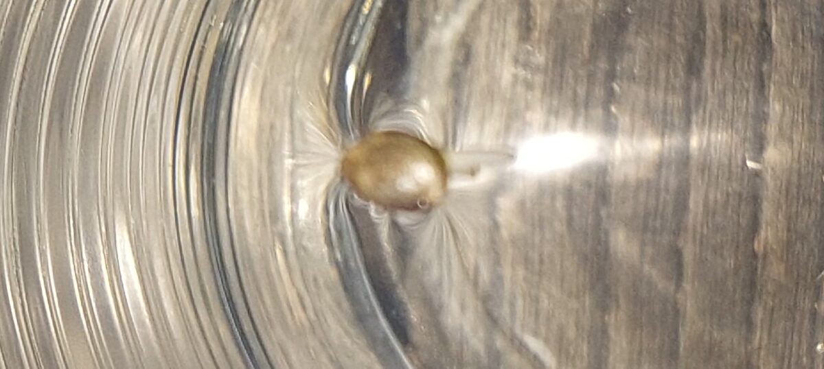 bbs-grow-diaries/week-403038-diary-403037-user-41964-684d3b7c426a6