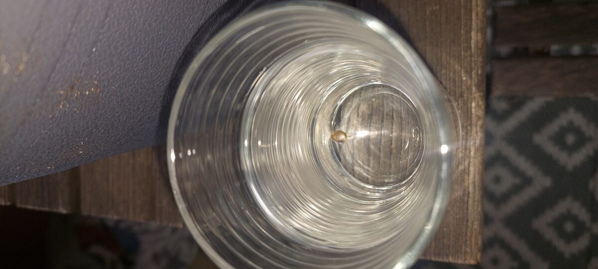 bbs-grow-diaries/week-403038-diary-403037-user-41964-684d3b7f26d91