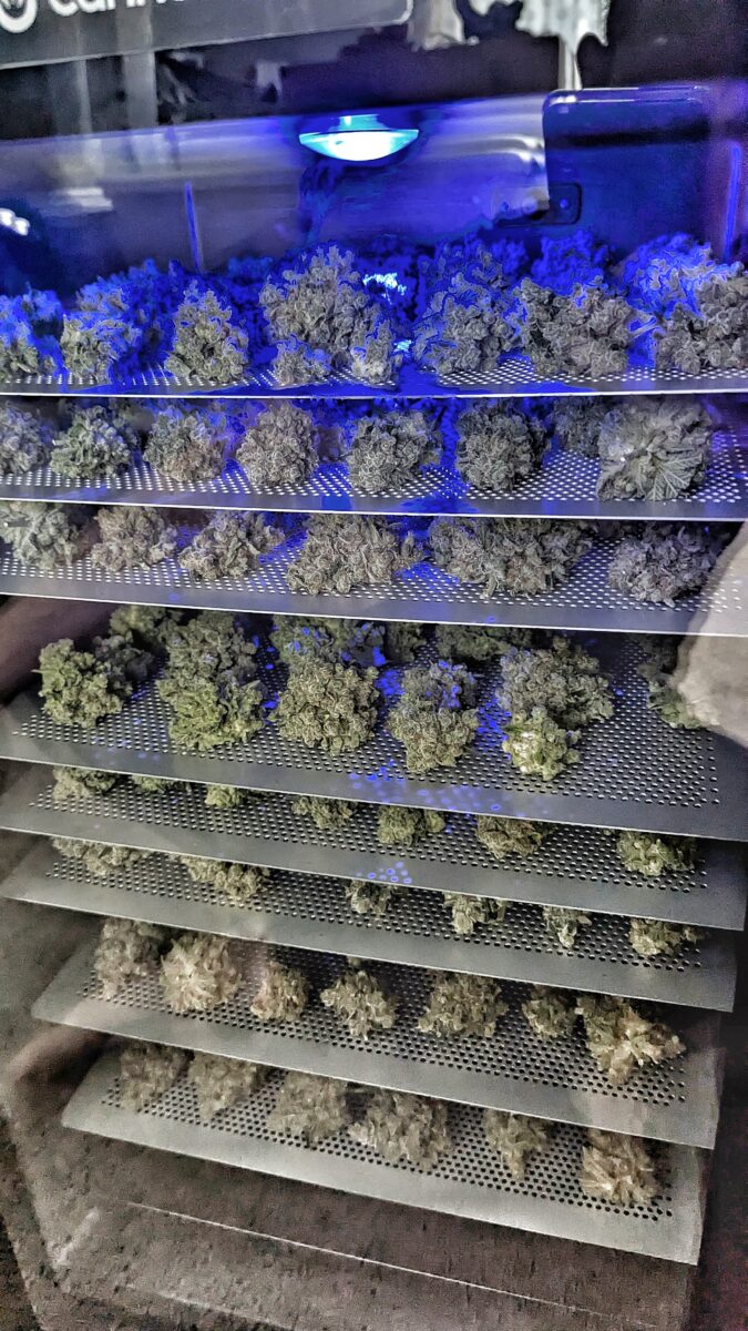 bbs-grow-diaries/week-404617-diary-402708-user-38149-68560fc4ef4b0