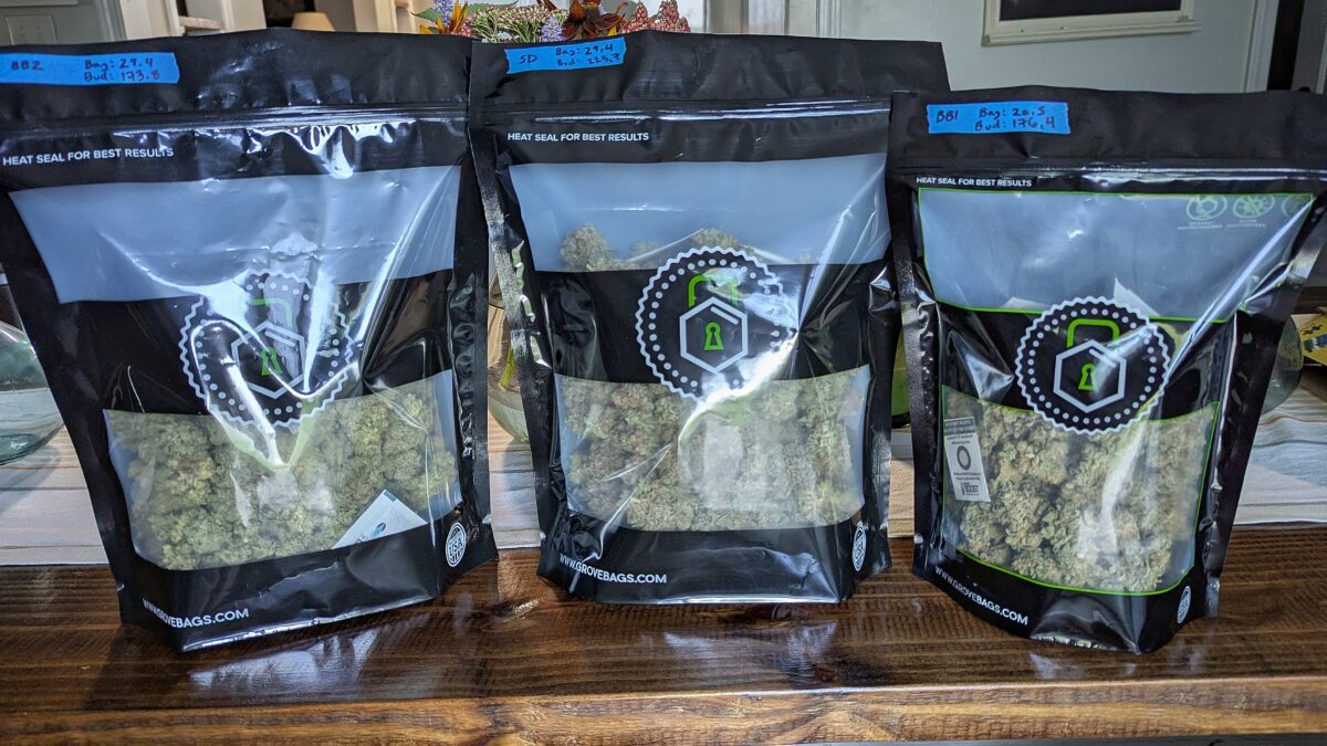 bbs-grow-diaries/week-405459-diary-405240-user-38149-685e7b380038d