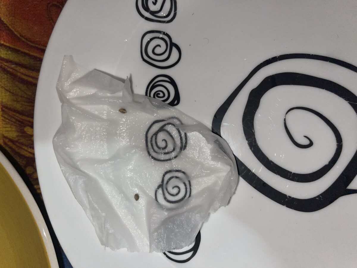 bbs-grow-diaries/week-491686-diary-491685-user-37646-687aec9773d07