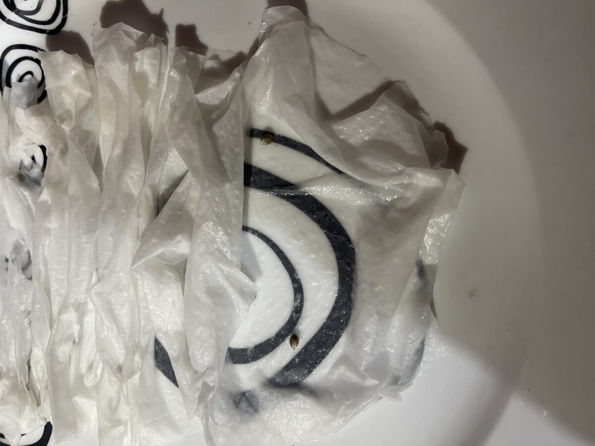 bbs-grow-diaries/week-491696-diary-491695-user-37646-687aefc4bb806