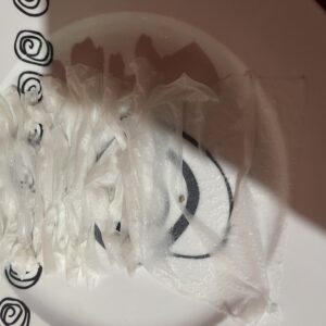 Germination Week - 0 - Mango - 1