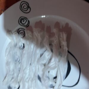Germination Week - 0 - Mango - 2