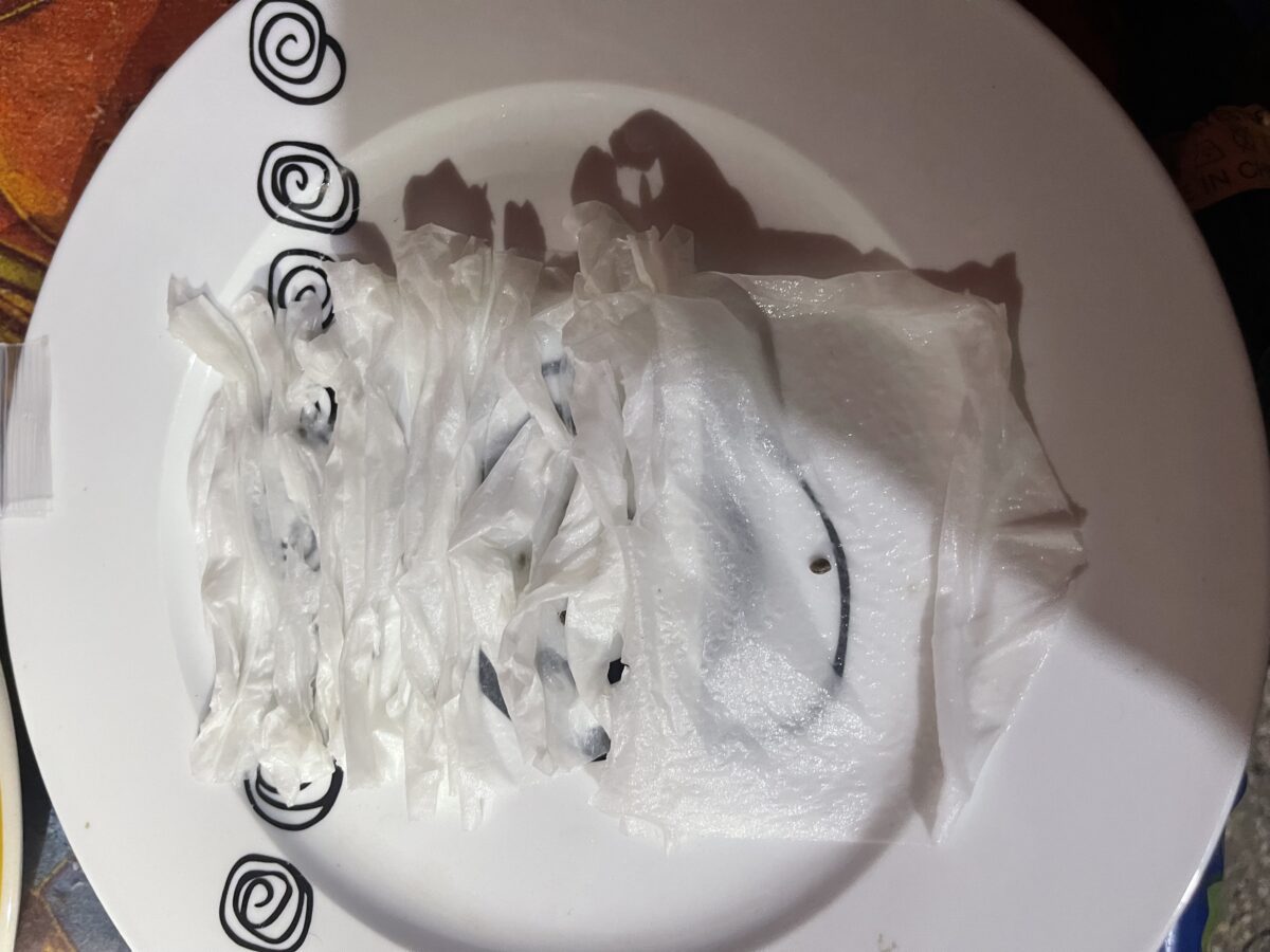 bbs-grow-diaries/week-491700-diary-491699-user-37646-687af023e529b