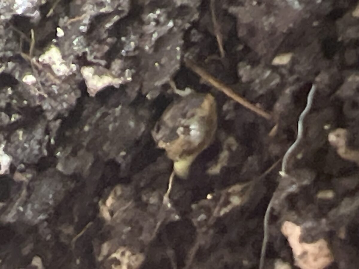 bbs-grow-diaries/week-491716-diary-491715-user-41121-687b5ab761a18