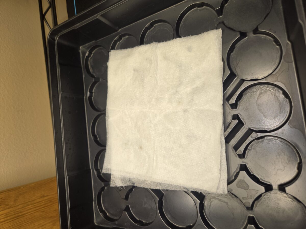 bbs-grow-diaries/week-521014-diary-521013-user-43815-68c220b99bcbc