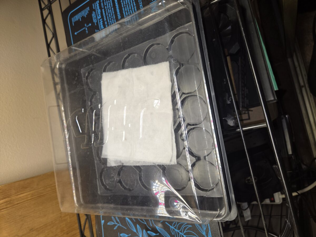 bbs-grow-diaries/week-521014-diary-521013-user-43815-68c220bbd61de