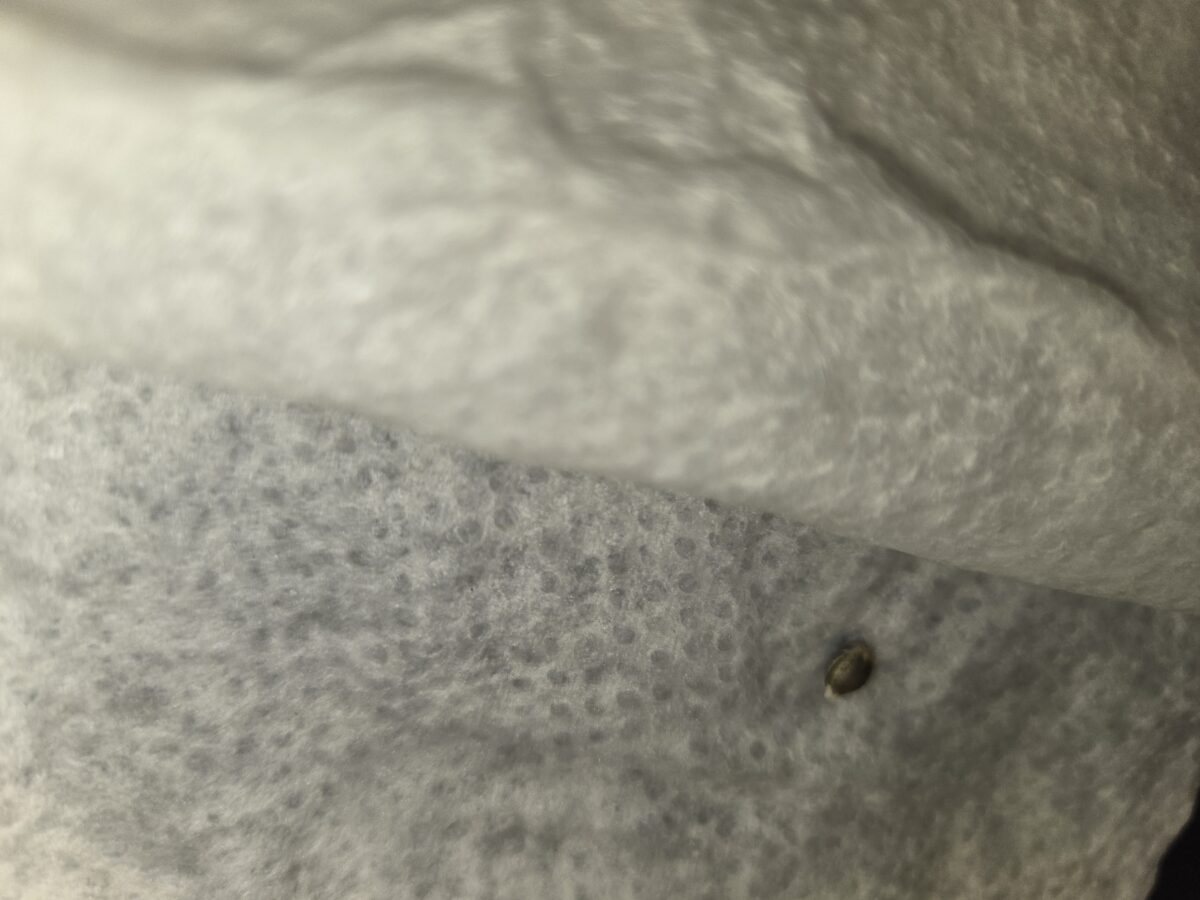 bbs-grow-diaries/week-521014-diary-521013-user-43815-68c3a049e02ea