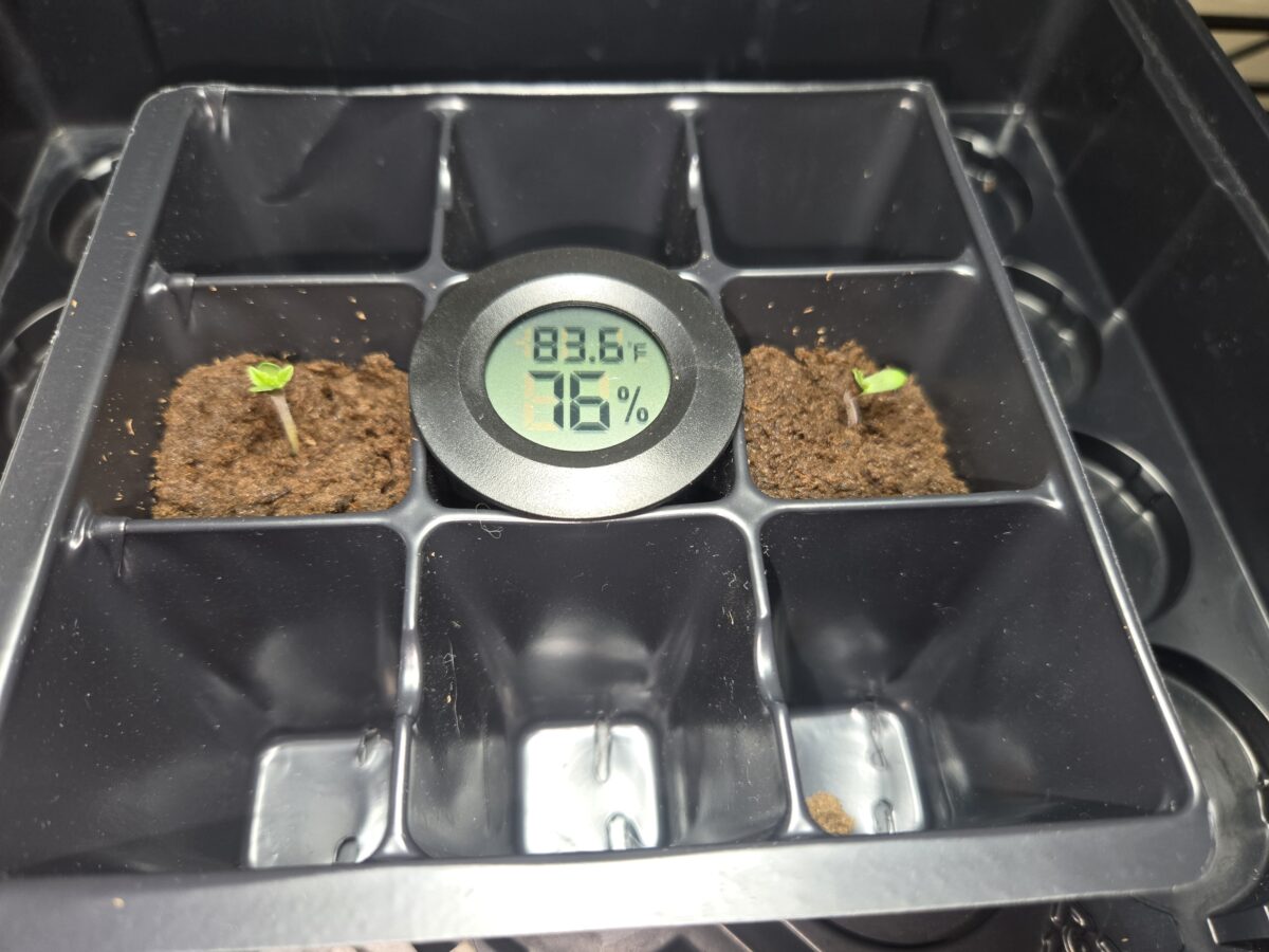 bbs-grow-diaries/week-521366-diary-521013-user-43815-68c6e94eba70a