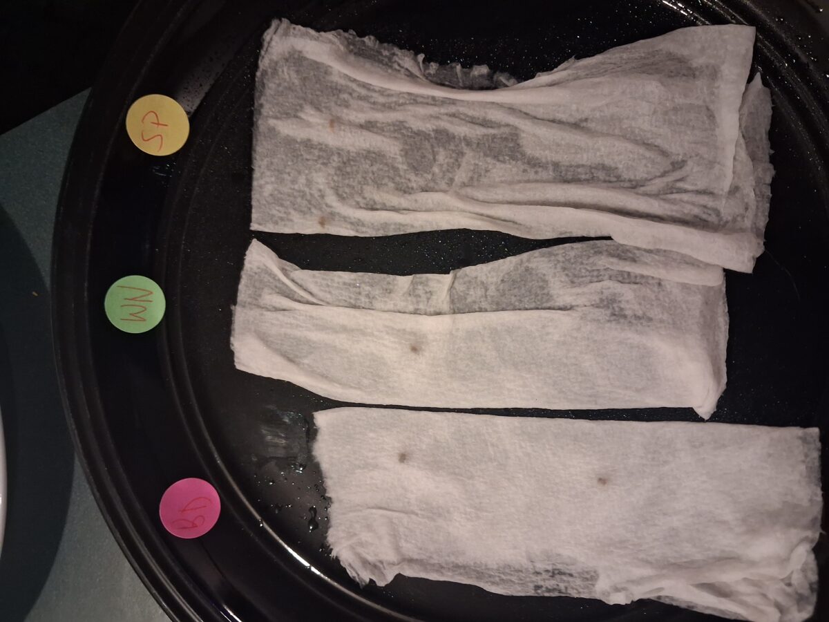 bbs-grow-diaries/week-521425-diary-521118-user-43667-68c7ce3bdd043