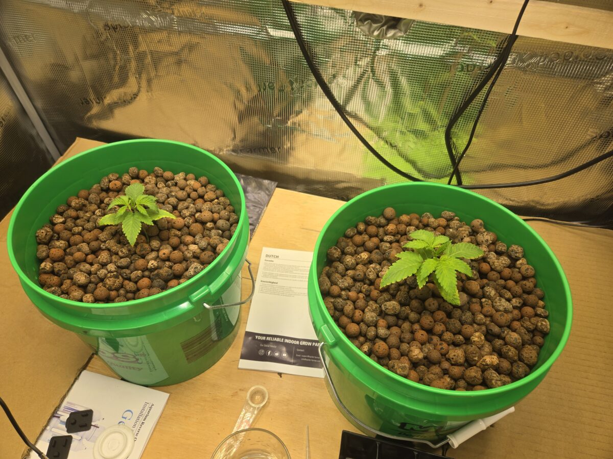 bbs-grow-diaries/week-524653-diary-521013-user-43815-68dea7eb2c9da