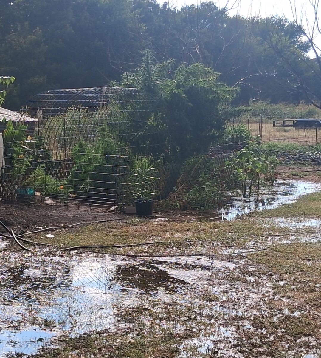 bbs-grow-diaries/week-526384-diary-525895-user-38276-68ecb9641427d