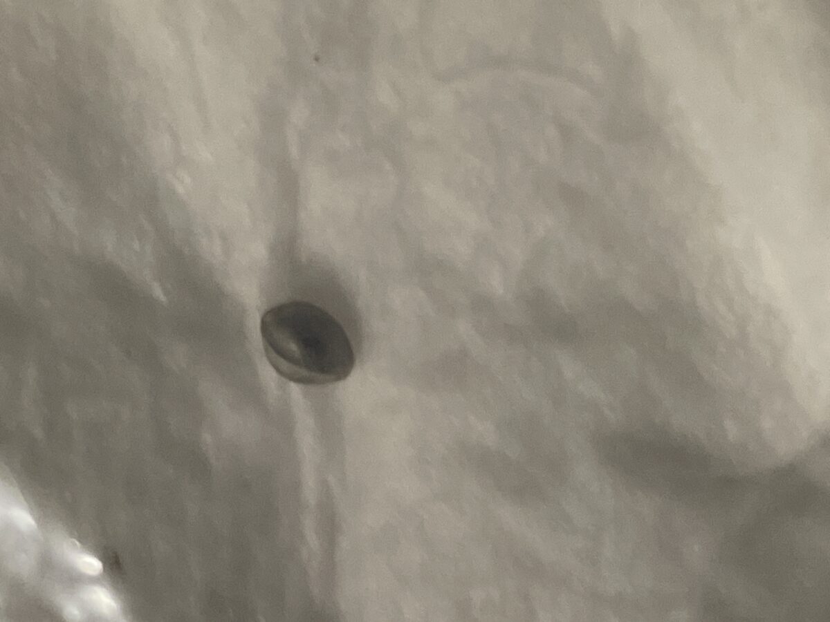 bbs-grow-diaries/week-528200-diary-528195-user-45147-68f874c407ca9