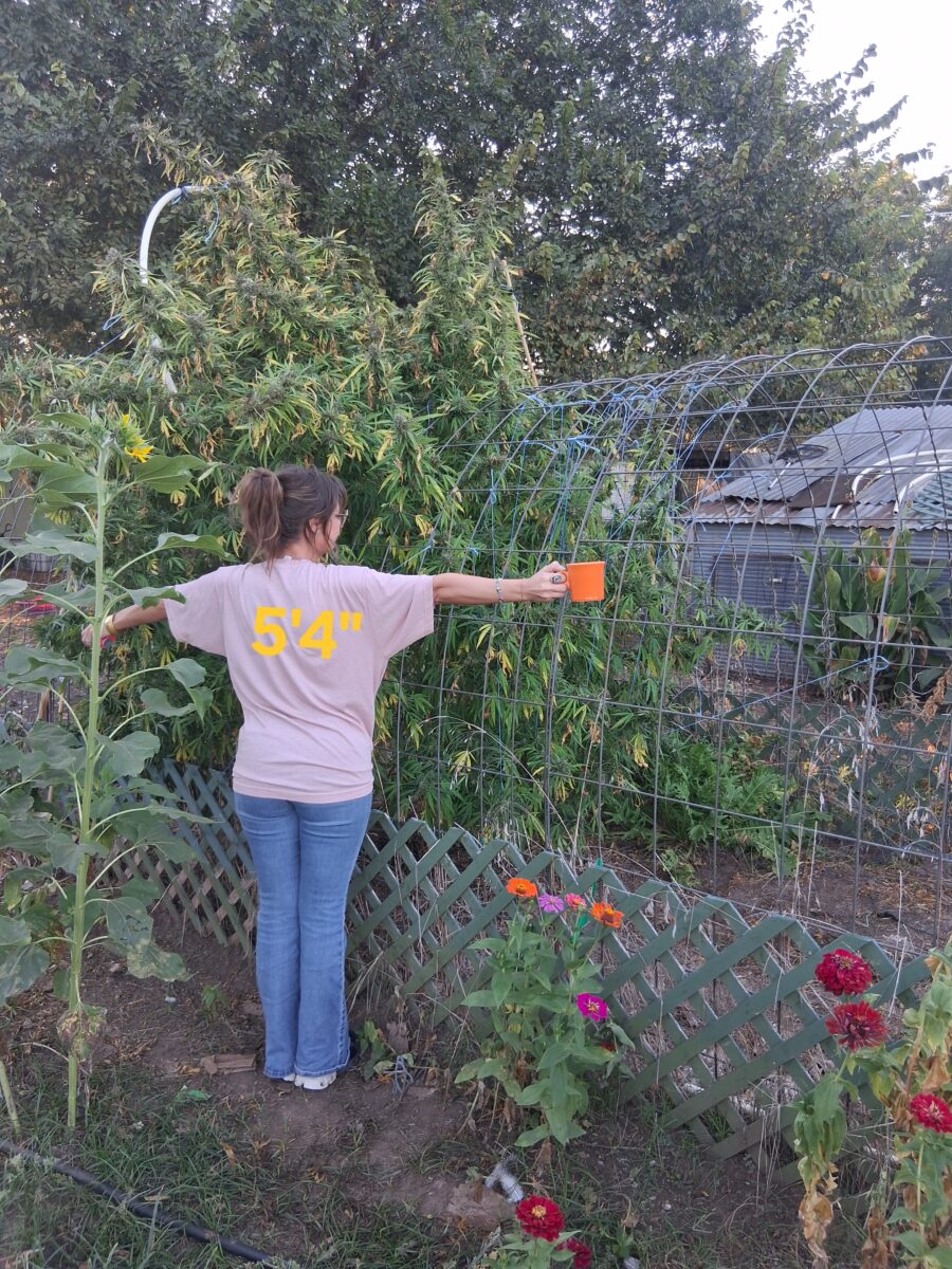 bbs-grow-diaries/week-528422-diary-525895-user-38276-68f96fbf0abd7