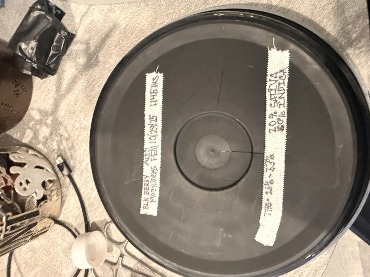 bbs-grow-diaries/week-529399-diary-529397-user-45160-6902386f9ce47