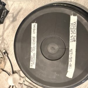 Germination Week - 0 - Blackberry Moonrocks Auto - 1