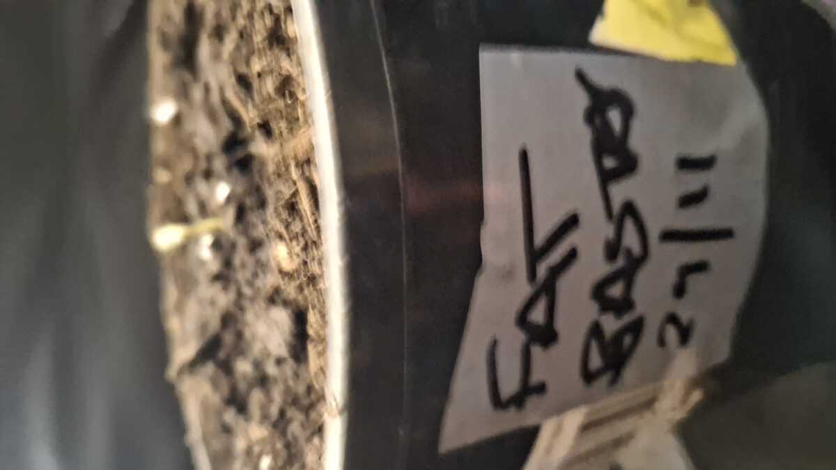 bbs-grow-diaries/week-536711-diary-536709-user-8697-692e18efe5d63