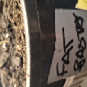 Germination Week - 0 - Fat Bastard - 1