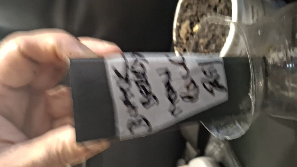 bbs-grow-diaries/week-536716-diary-536715-user-8697-692e1dc68243e