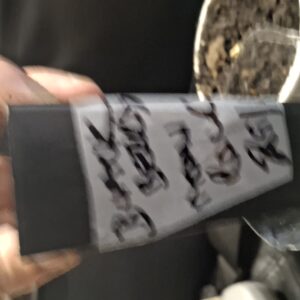 bbs-grow-diaries/week-536716-diary-536715-user-8697-692e1dc68243e