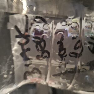 bbs-grow-diaries/week-536716-diary-536715-user-8697-692e1dc8b4b77